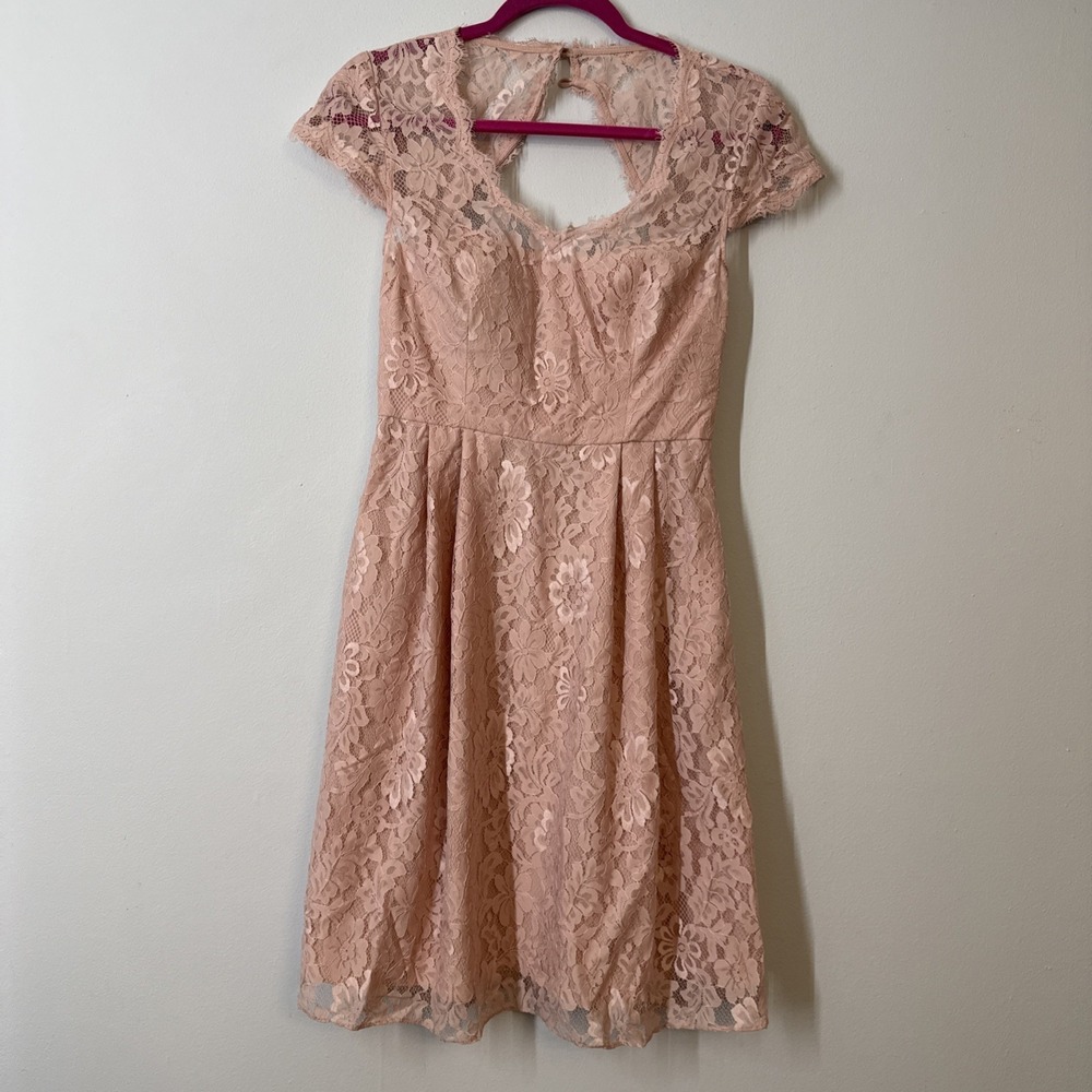 Light Pink Lace Fit Flare Cocktail Dress Romantic Party Size 2 Wedding Flirty